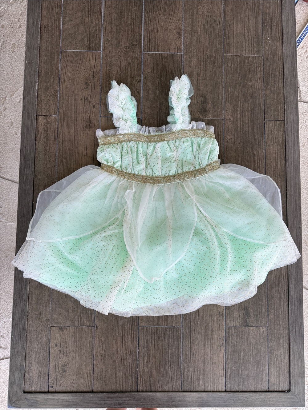 Janie and Jack tinkerbell dress size 2T